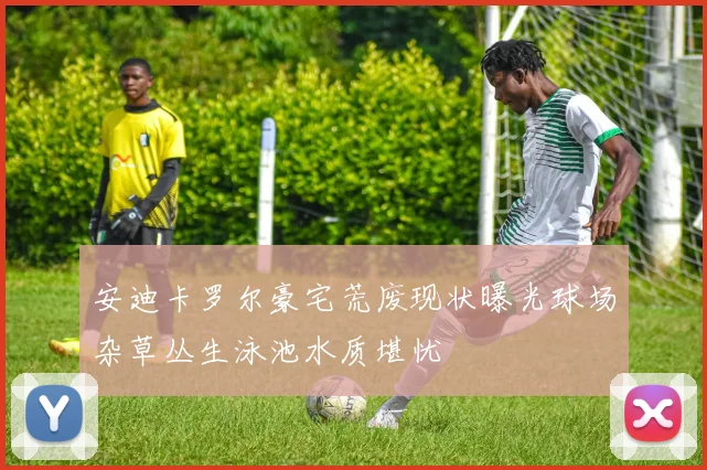 安迪卡罗尔豪宅荒废现状曝光球场杂草丛生泳池水质堪忧