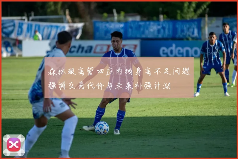 森林狼高管回应内线身高不足问题强调交易代价与未来补强计划